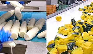 青果物の加工