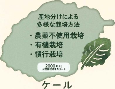 ケール