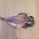 水洗いし、乾燥させた魚