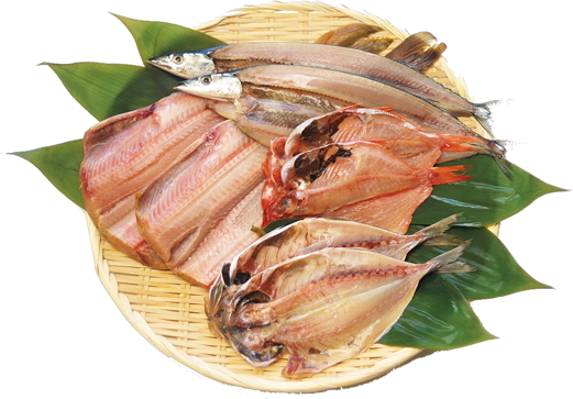 魚