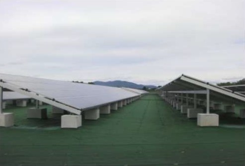防草シート(施工1年後)の画像
